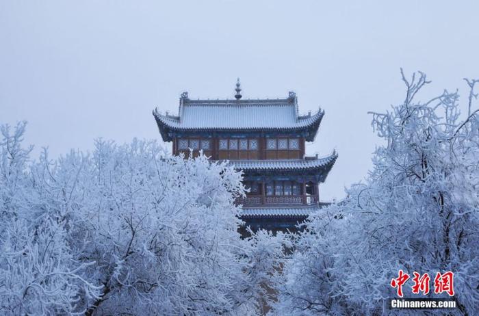 羊肉湯、糯米飯……你偏愛哪種小寒節(jié)氣美食？