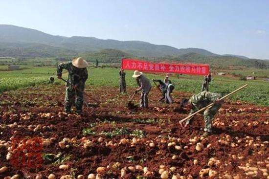 2019年全國預計完成8000萬畝高標準農(nóng)田建設任務 畝均增產(chǎn)200斤 增收500元