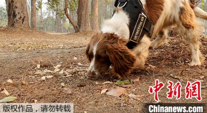 點(diǎn)擊進(jìn)入下一頁