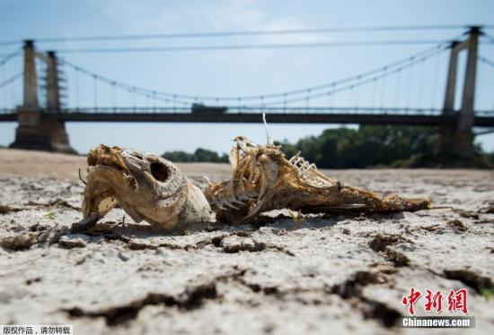 敲響地球警鐘！未來十年或連續(xù)打破史上最熱排行榜