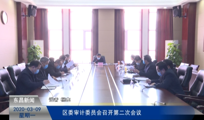 區(qū)委審計(jì)委員會(huì)召開第二次會(huì)議