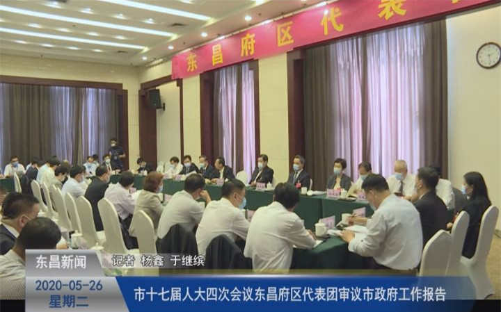 市十七屆人大四次會(huì)議東昌府區(qū)代表團(tuán)審議市政府工作報(bào)告
