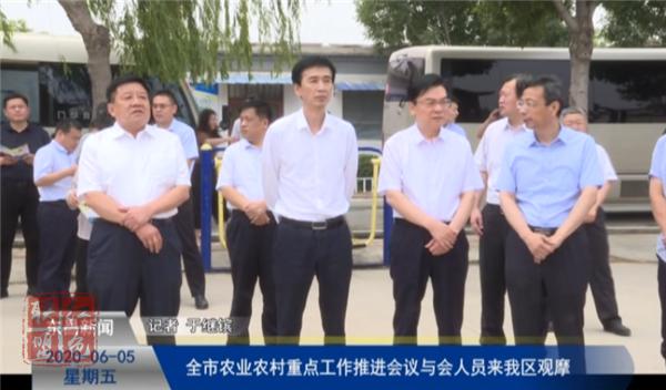 全市農(nóng)業(yè)農(nóng)村重點(diǎn)工作推進(jìn)會(huì)議與會(huì)人員來我區(qū)觀摩