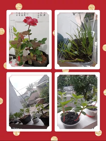 點擊進入下一頁