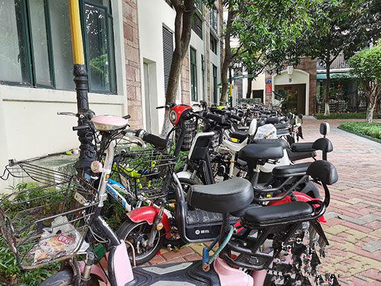 電動車成民生剛需 代表建議廣州以“管”代“禁”