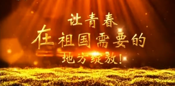 到祖國最需要的地方綻放青春