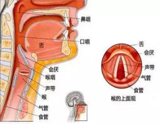 警惕！聲音嘶啞可能是腫瘤“信號(hào)”