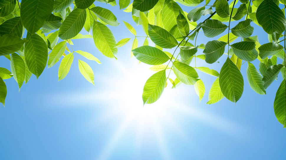 中暑就喝藿香正氣水？醫(yī)生提醒：可能適得其反