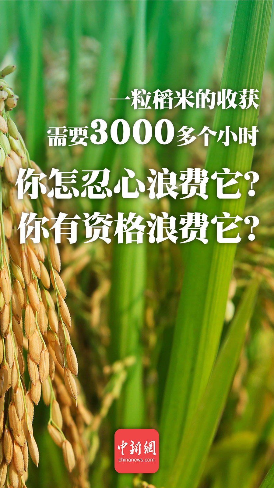 點(diǎn)擊進(jìn)入下一頁(yè)