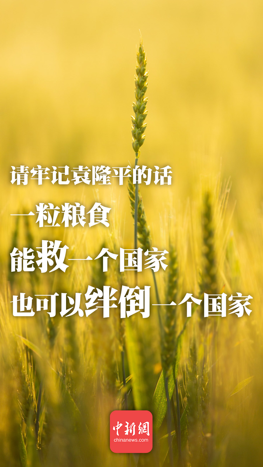 點(diǎn)擊進(jìn)入下一頁(yè)