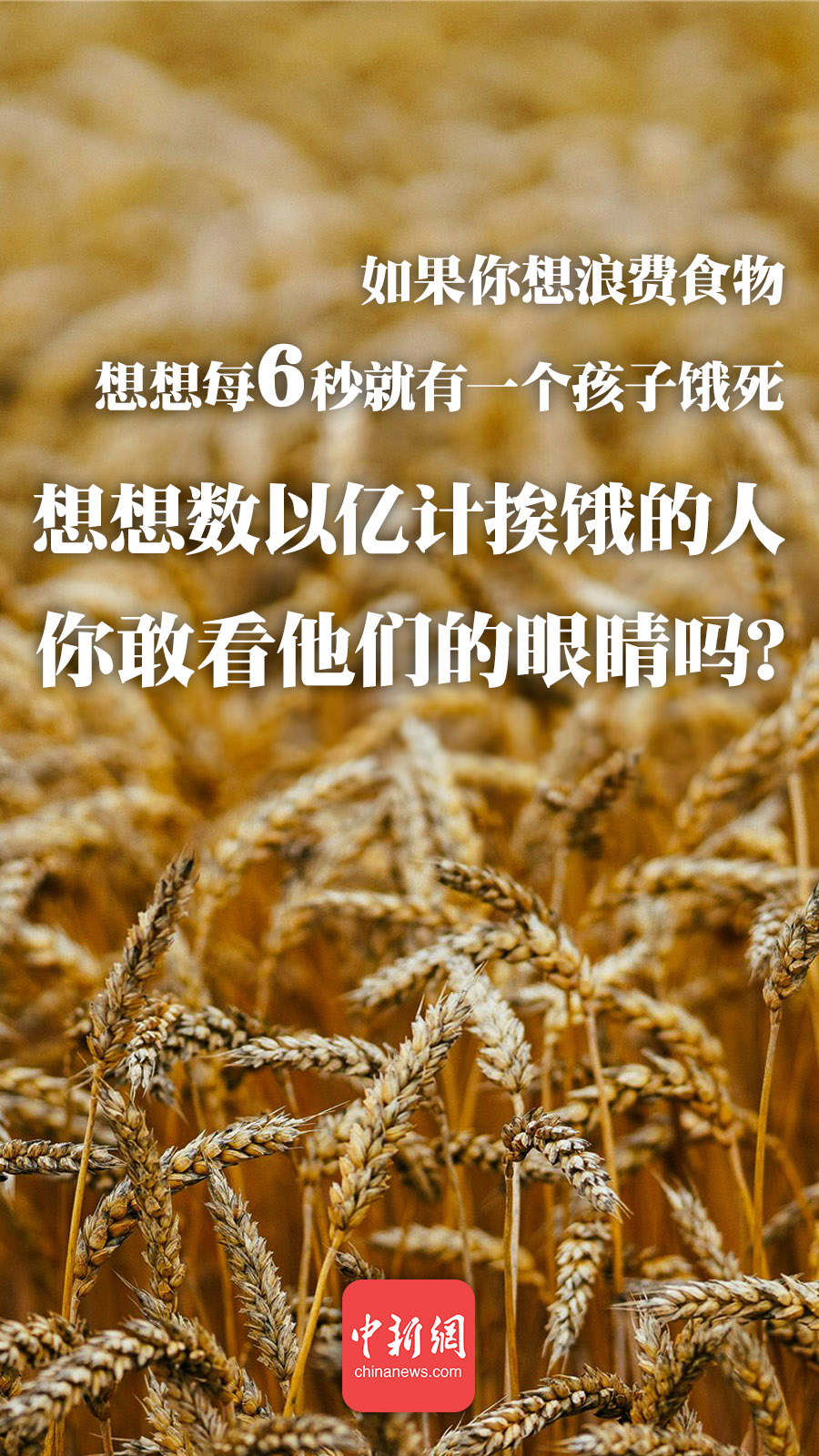 點(diǎn)擊進(jìn)入下一頁(yè)