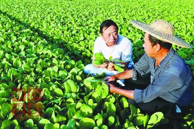 發(fā)改委:努力保障冬季“菜籃子”生產(chǎn)和有效供給