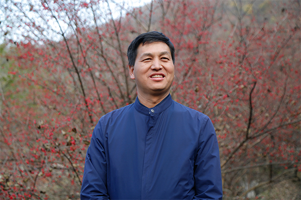 規(guī)范化管理山茱萸產(chǎn)業(yè)，助推地方經(jīng)濟(jì)發(fā)展
