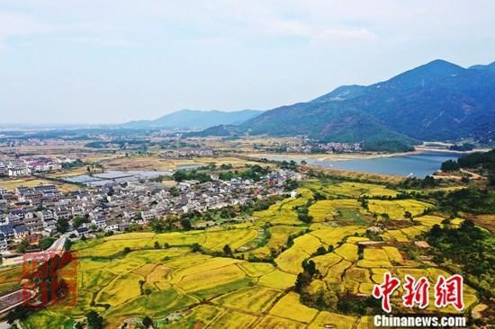 中國秋糧收購高峰出現(xiàn) 進(jìn)度同比明顯加快