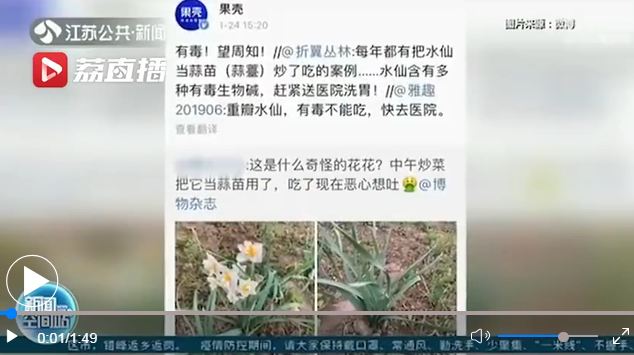 女子誤把水仙當(dāng)蒜苗吃惡心嘔吐 專(zhuān)家：萬(wàn)一誤食趕緊催吐！