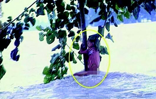 長大后我就成了你：98“抱樹女孩”當(dāng)上人民警察