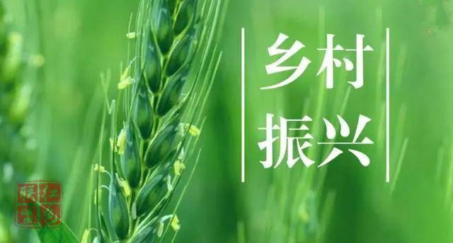 借回流農(nóng)民工之力，助推鄉(xiāng)村全面振興