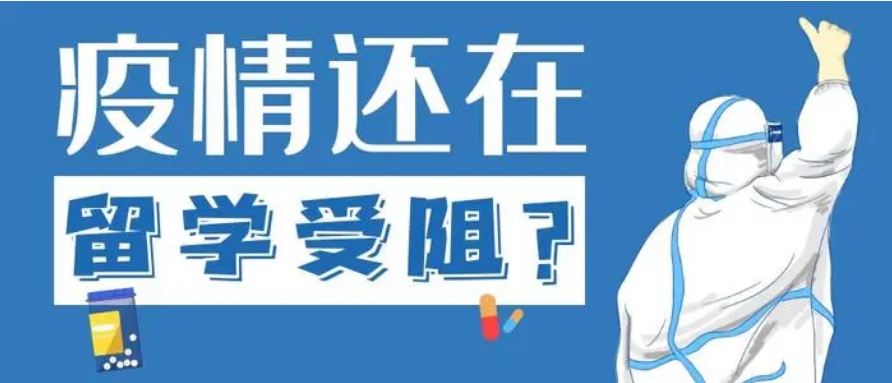 留學(xué)受阻，國(guó)際教育緣何逆勢(shì)升溫