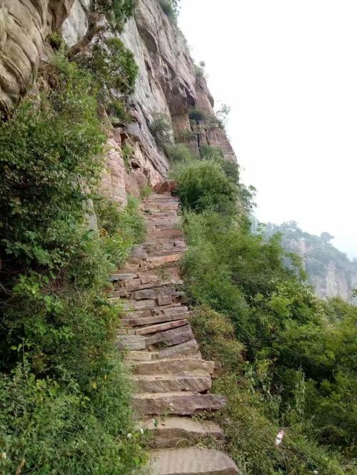 “天梯”上走出去的大學(xué)生