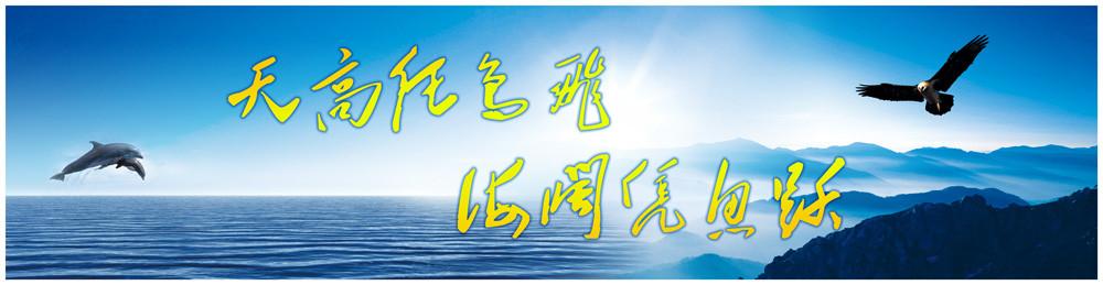 職教駛入高速路 青年插上技能翅膀