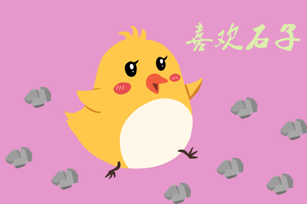 雞的胃竟然如此強大