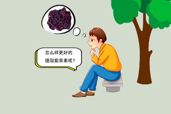 你聽過紫草素嗎？