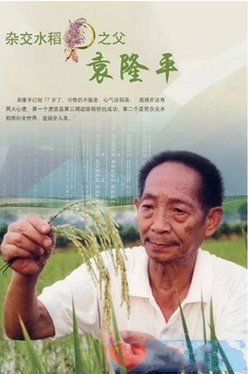 “雜交水稻之父”進(jìn)入北京中考作文材料