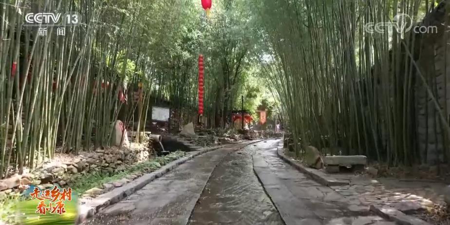 【走進鄉(xiāng)村看小康】山東臨沂：竹風(fēng)泉韻繞村落 生態(tài)旅游富鄉(xiāng)鄰