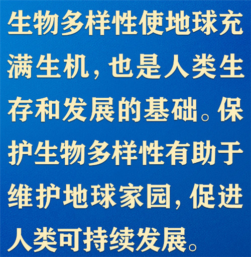 共同構(gòu)建地球生命共同體，習(xí)近平提出“中國方案”
