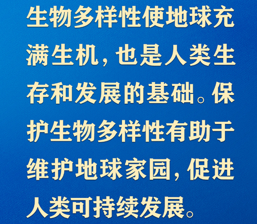 共同構建地球生命共同體，習近平提出“中國方案”