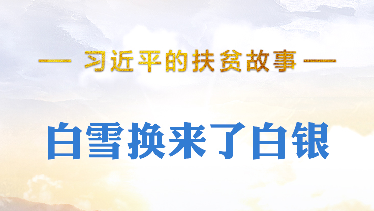 習(xí)近平的扶貧故事丨白雪換來(lái)了白銀