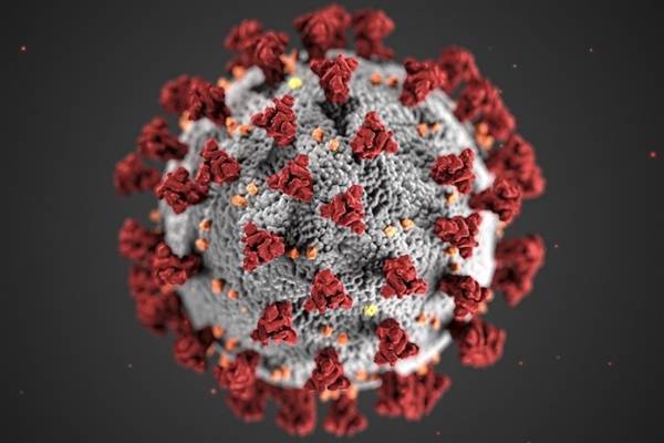 關(guān)注！南非發(fā)現(xiàn)新型新冠病毒變種 存在大量突變