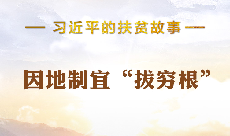 習(xí)近平的扶貧故事丨因地制宜“拔窮根”