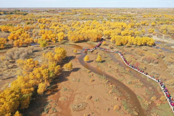 挺過低谷，“大漠小城”額濟納旗留下哪些抗疫探索