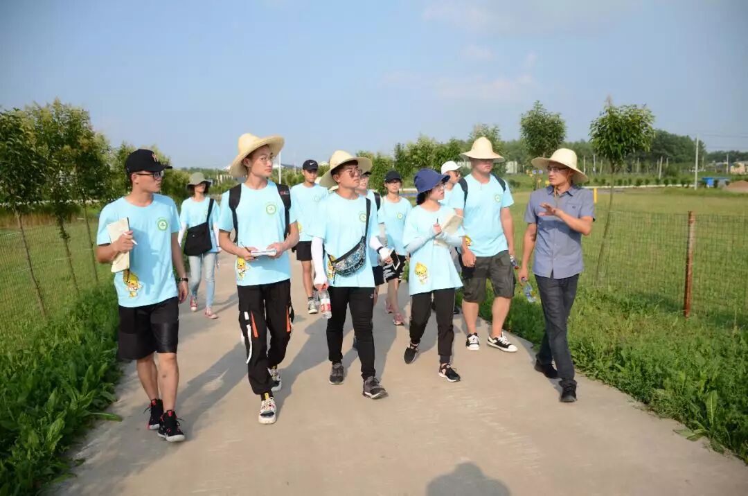 用火熱的青春投身鄉(xiāng)村振興偉大事業(yè)——共青團(tuán)實(shí)施鄉(xiāng)村振興青春建功行動(dòng)工作綜述