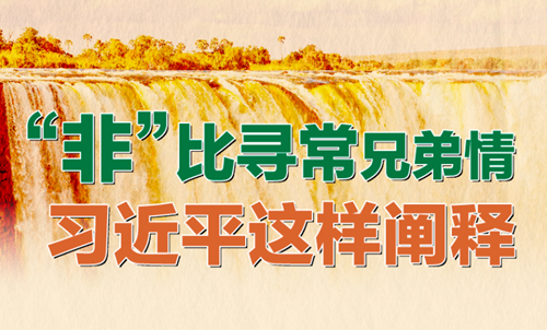“非”比尋常兄弟情 習(xí)近平這樣闡釋