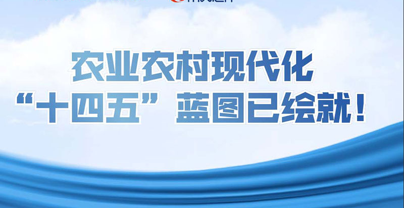可視化|農(nóng)業(yè)農(nóng)村現(xiàn)代化，“十四五”藍圖已繪就！