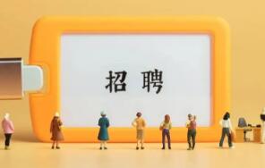 畢業(yè)生求職群：他們是競爭對手，更是戰(zhàn)友