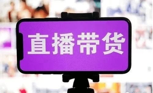 是新興職業(yè)還是不務正業(yè) 畢業(yè)生做帶貨主播，行不行？