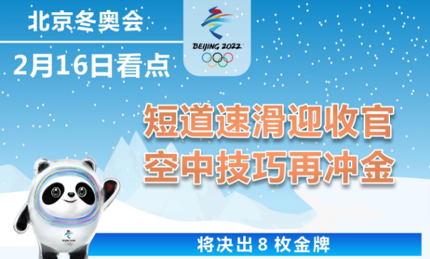 16日看點(diǎn)：短道速滑迎收官 空中技巧再?zèng)_金