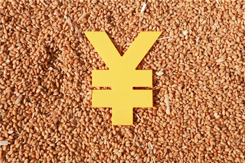 糧價(jià)攀升、食品價(jià)格上漲，多國(guó)打響“糧食保衛(wèi)戰(zhàn)”