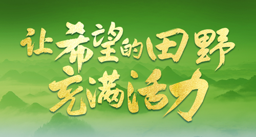 讓希望的田野充滿活力——從全國兩會看鄉(xiāng)村振興發(fā)力點