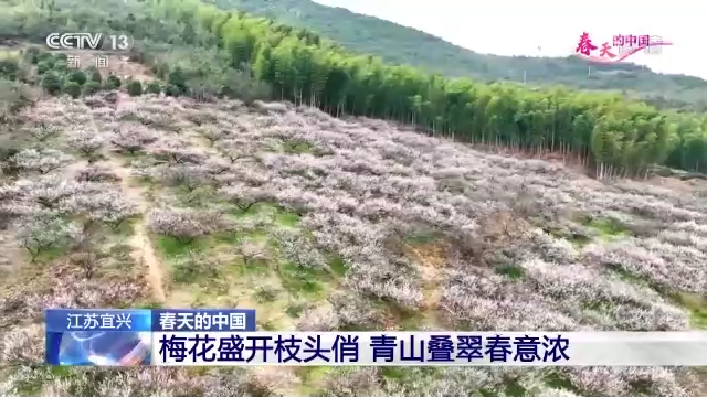 微風吹綠丹峽岸 航拍鏡頭帶你看春天里的中國