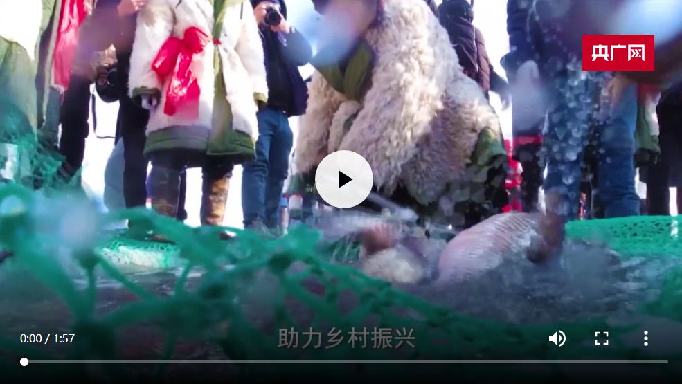 冬奧之火點(diǎn)亮中國(guó) 從冬到春熱“雪”沸騰