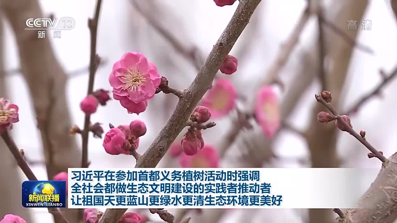 【央視快評】讓祖國天更藍(lán)山更綠水更清生態(tài)環(huán)境更美好
