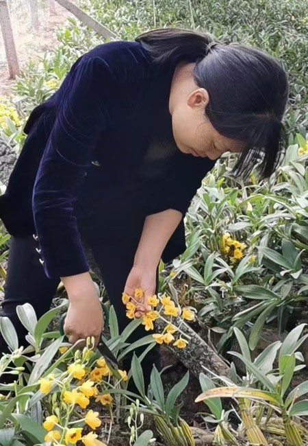 我們正青春丨把青春獻(xiàn)給鄉(xiāng)村 讓夢想扎根土地