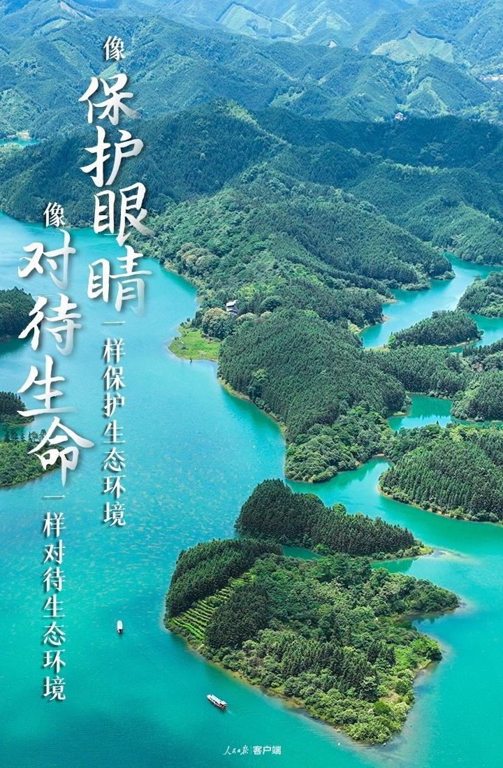 守護美麗中國，重溫習近平的這些金句