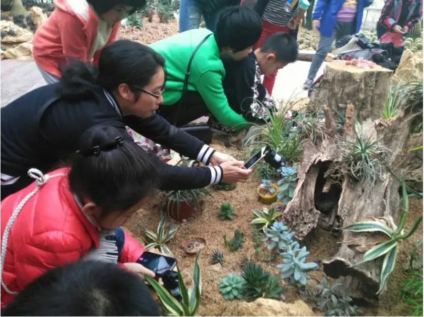 植物寶庫(kù)也是自然課堂