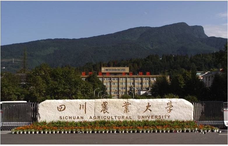 四川農業(yè)大學學子暑期走進農村 厚植“三農”情懷 賦能鄉(xiāng)村振興