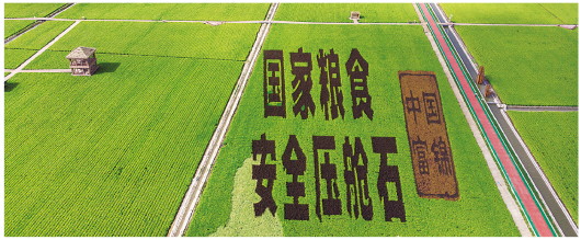 維護(hù)國(guó)家糧食安全：北大荒的十年答卷